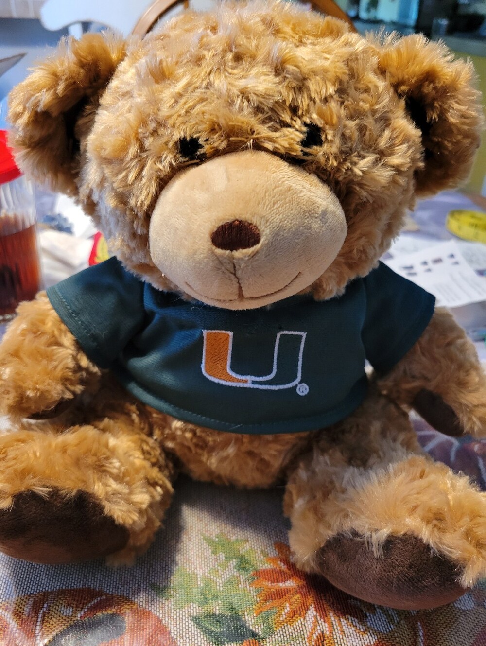 Plush Teddy Bear with Green University U Shirt